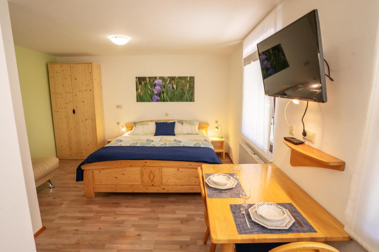 Apartmaji Alpski Cvet - Hisa Gorenc 보히니 외부 사진