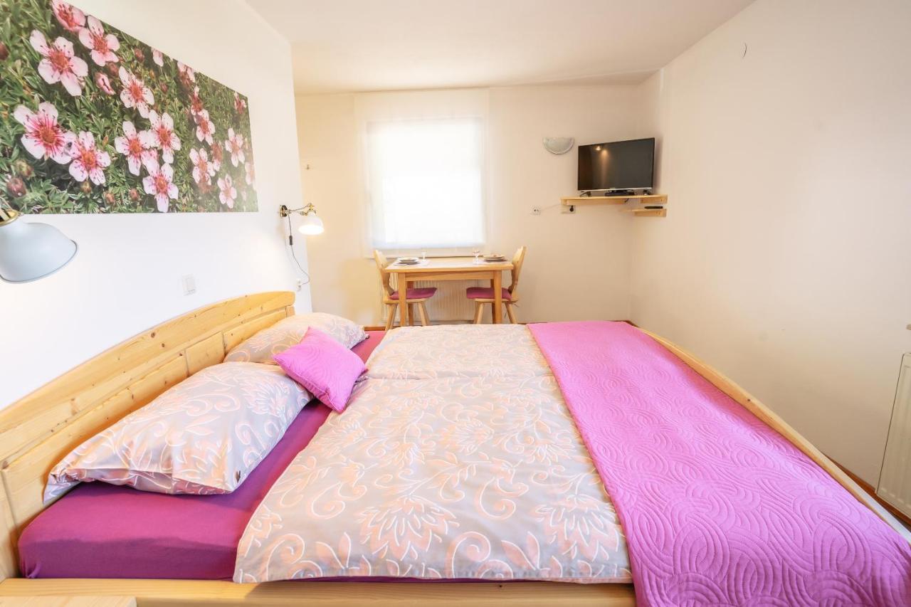 Apartmaji Alpski Cvet - Hisa Gorenc 보히니 외부 사진