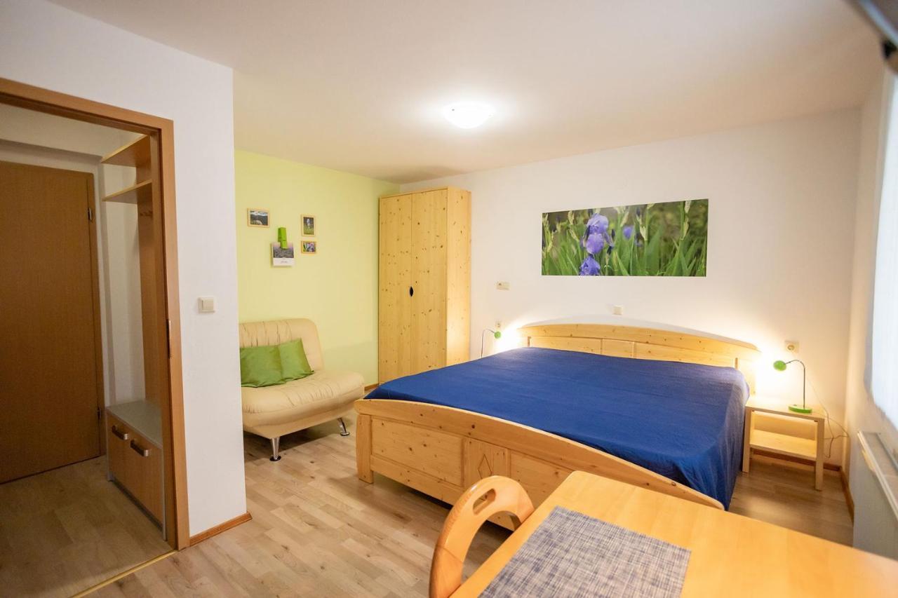 Apartmaji Alpski Cvet - Hisa Gorenc 보히니 외부 사진
