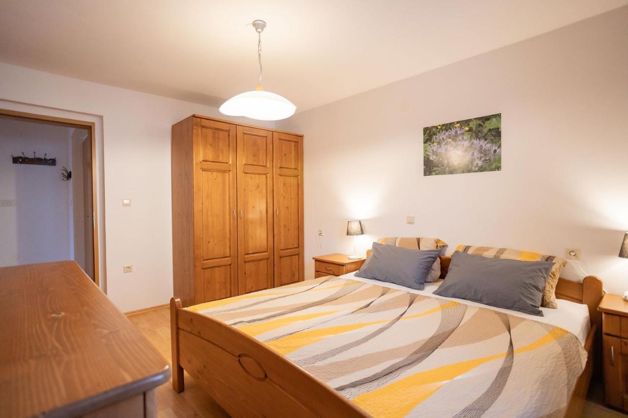 Apartmaji Alpski Cvet - Hisa Gorenc 보히니 외부 사진