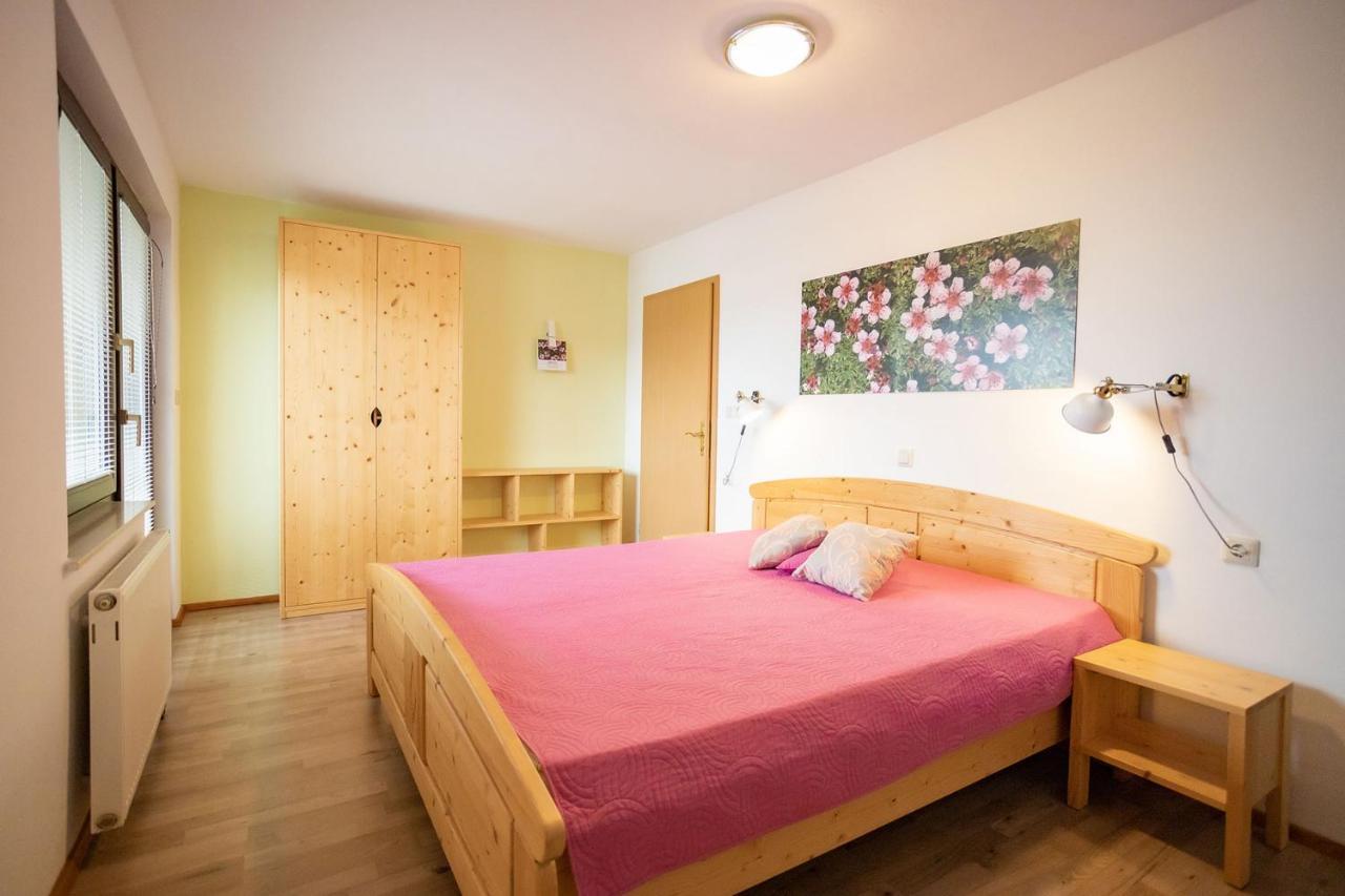 Apartmaji Alpski Cvet - Hisa Gorenc 보히니 외부 사진